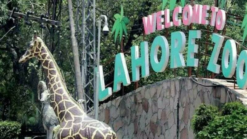 لاہور چڑیا گھر: شہریوں کو ریلیف، تفریحی سہولتوں پر 50 فیصد رعایت