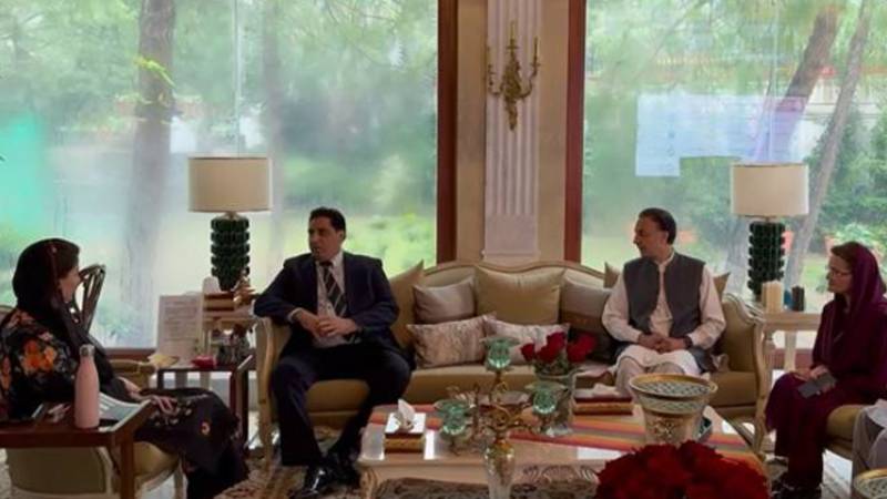 اوورسیز پاکستانی ملک کی ترقی کے شراکت دار ہیں: مریم نواز شریف