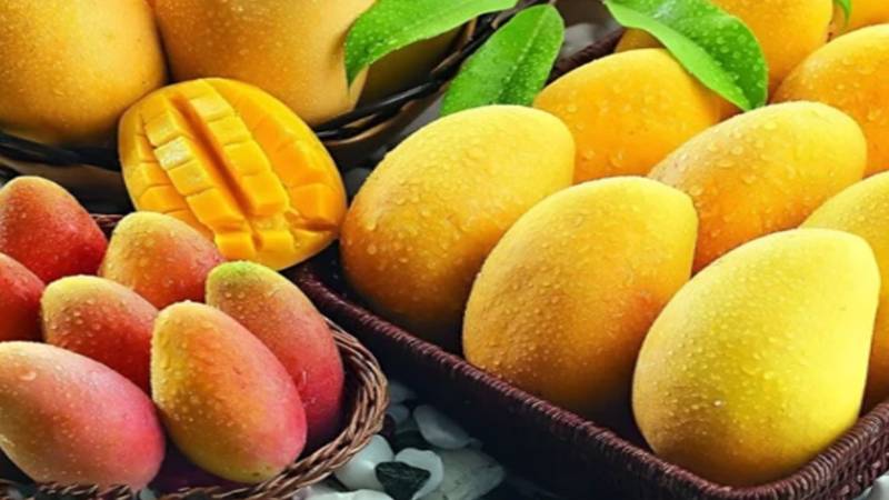 پاکستان آم کی عالمی برآمدات میں ٹاپ تھری میں شامل , میکسیکو بدستور پہلے نمبر پر