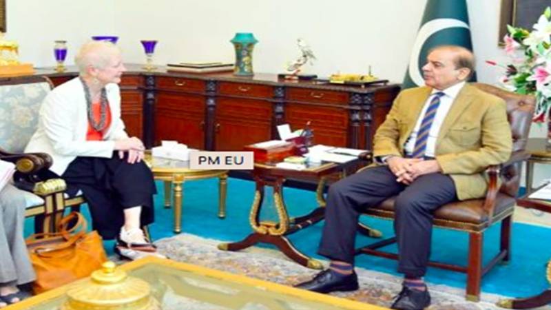 وزیر اعظم شہباز شریف سے یورپی یونین کی سفیر رینا کیونکا کی الوداعی ملاقات