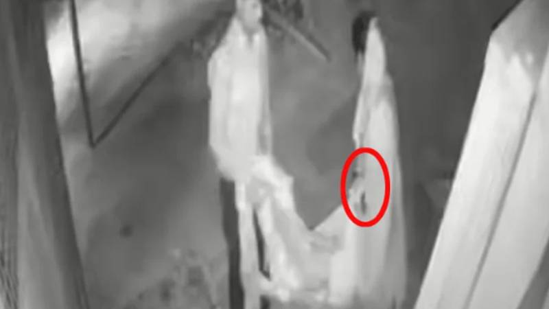 بھارت: رشتہ داروں کا ضعیف خاتون کو سڑک پر چھوڑنے کا ظالمانہ اقدام، اسپتال میں دم توڑ گئیں 