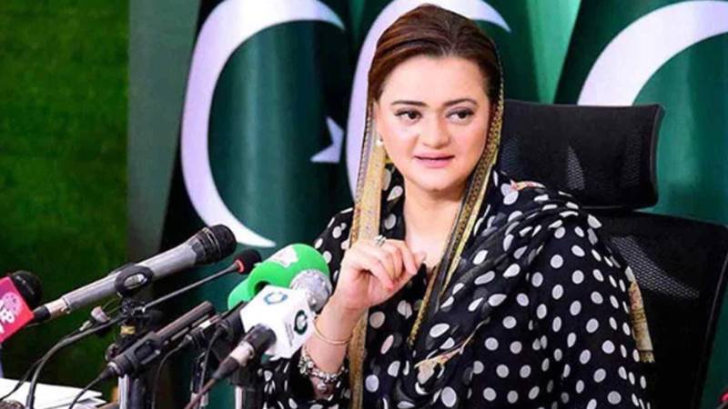 چیلوں اور کوؤں کے 50 گھونسلے ہٹائے گئے: مریم اورنگزیب 