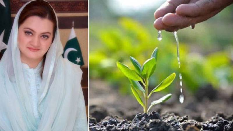 مریم اورنگزیب کی قیادت میں رنگ روڈ پر شجرکاری مہم کا افتتاح