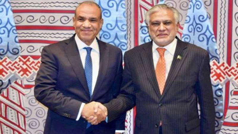 بین الاقوامی فلسطین کانفرنس کے موقع پر نائب وزیراعظم اسحاق ڈار کی مصری وزیر خارجہ سے ملاقات