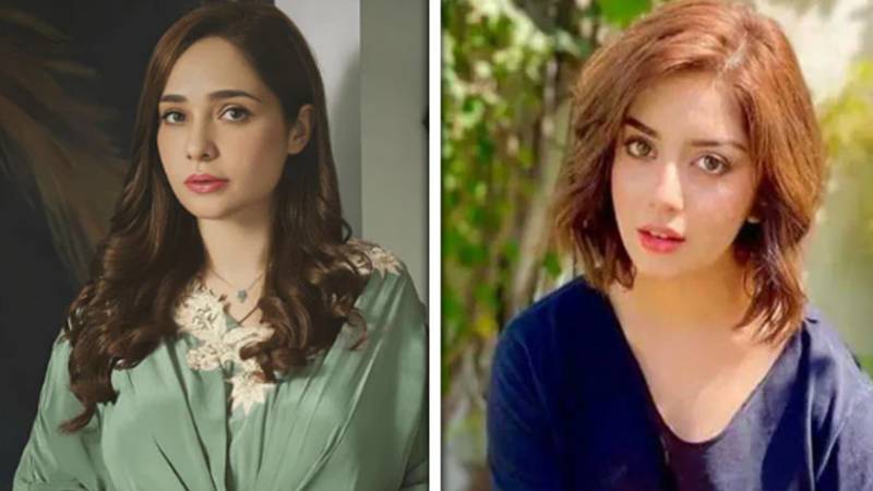 `علیزے شاہ پر مزید وار نہ کریں، وہ ٹراما سے گزر رہی ہے: جگن کاظم
