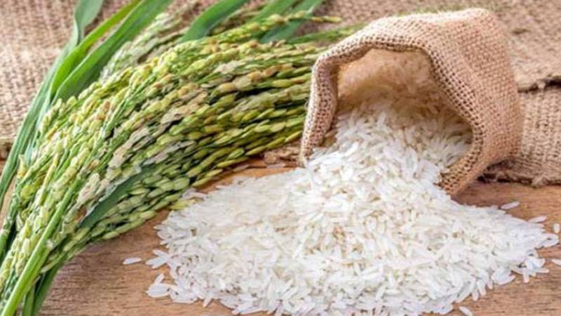 پاکستان میں چاول کی پیداوار میں انقلاب: نیا ہائبرڈ بیج تیار 