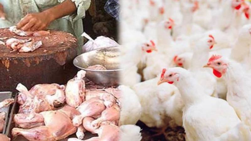 رائلر مرغی کے گوشت کی قیمتوں میں مسلسل اضافہ، عوام پریشان