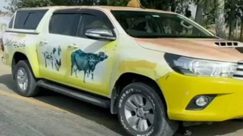 حافظ آباد: بارشوں کے بعد جمع پانی سے شہریوں اور مویشیوں میں بیماریاں پھیلنے لگیں 