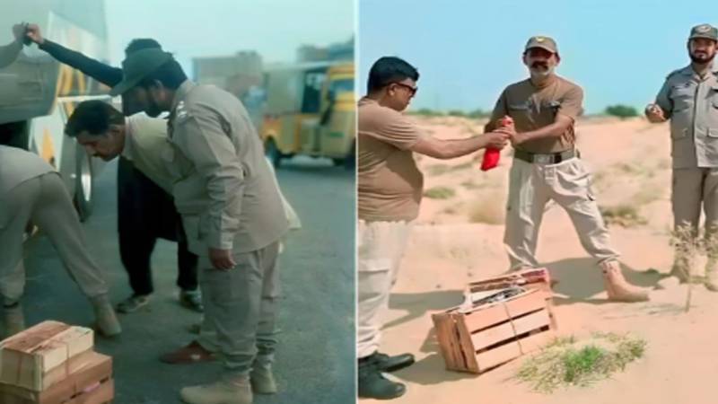 پنجاب وائلڈ لائف آپریشنز؛ بٹیر اسمگلنگ اور طوطوں کے غیر قانونی شکار کی کوششیں ناکام 