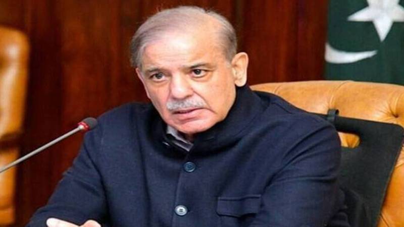 وزیر اعظم شہباز شریف کا آذربائیجان اور آرمینیا کے تاریخی امن معاہدے کا خیر مقدم