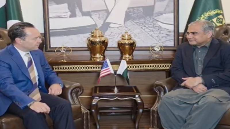 وفاقی وزیر داخلہ محسن نقوی سے امریکی کوآرڈینیٹر انسداد دہشتگردی کی ملاقات، باہمی تعاون پر اتفاق