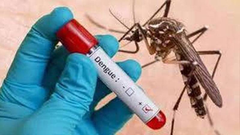 راولپنڈی ڈویژن: 2025 میں اب تک ڈینگی کے 85 کیسز، مری میں صورت حال تشویشناک