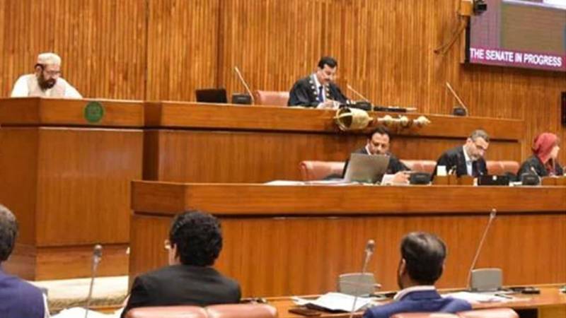 سینیٹ میں انسداد دہشت گردی اور پیٹرولیم ترمیمی بل منظور