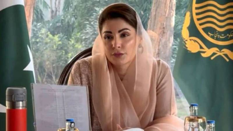 پنجاب میں الیکٹرک گاڑیوں کی سب سے بڑی مارکیٹ بننے کا بھرپور امکان:مریم نواز