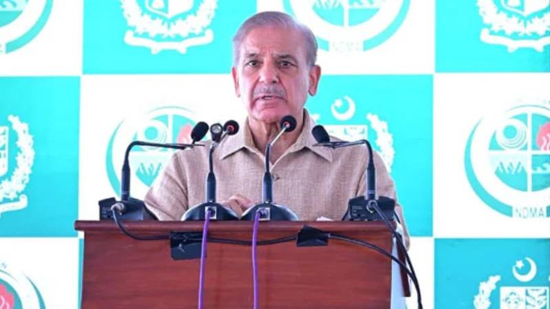 ایک ہفتے میں سیلاب متاثرہ علاقوں میں بجلی بحال، بل ادا نہ کرنے والے بھی مستفید ہوں گے:وزیراعظم شہباز شریف