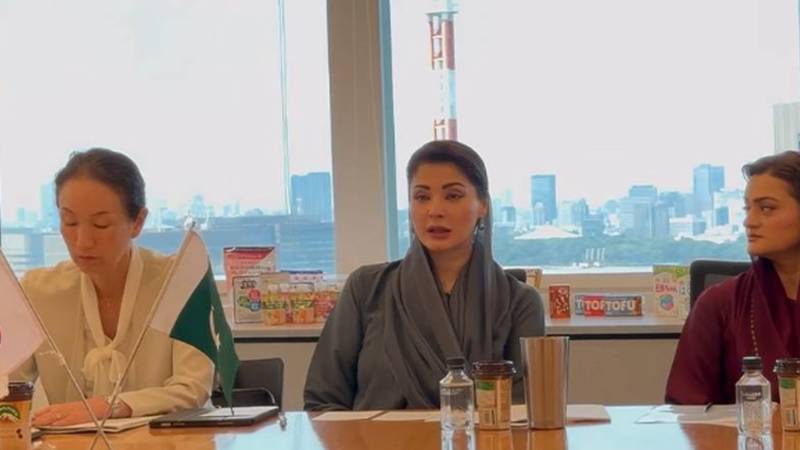 مریم نواز نے جاپانی ڈیری کمپنی موریناگا کو پنجاب میں سرمایہ کاری کی پیشکش کی