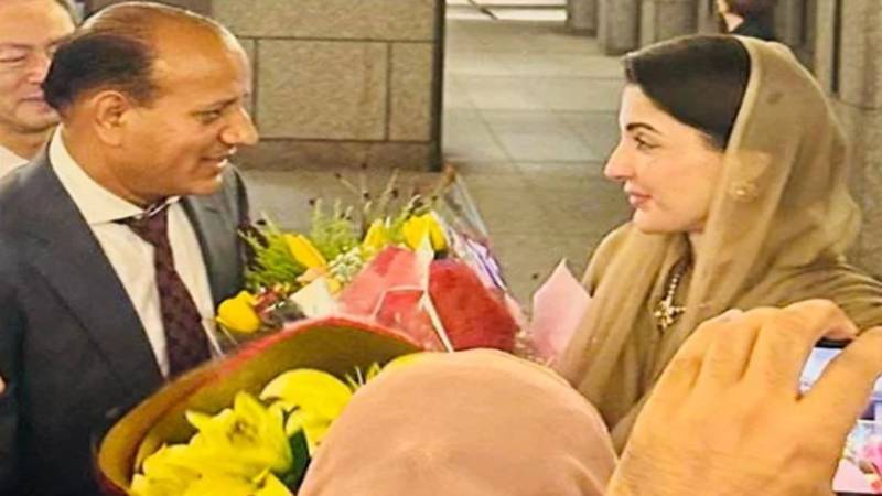 جاپان میں مقیم پاکستانی کمیونٹی کے مسائل مریم نواز کے جلسے میں اجاگر کیے گئے:ملک یونس