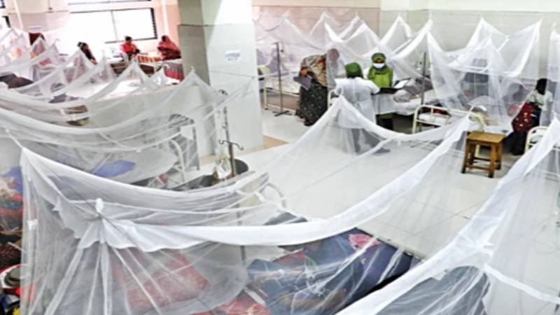 راولپنڈی میں ڈینگی وائرس کے 5 نئے کیسز، متاثرہ افراد کی تعداد 59 تک پہنچ گئی