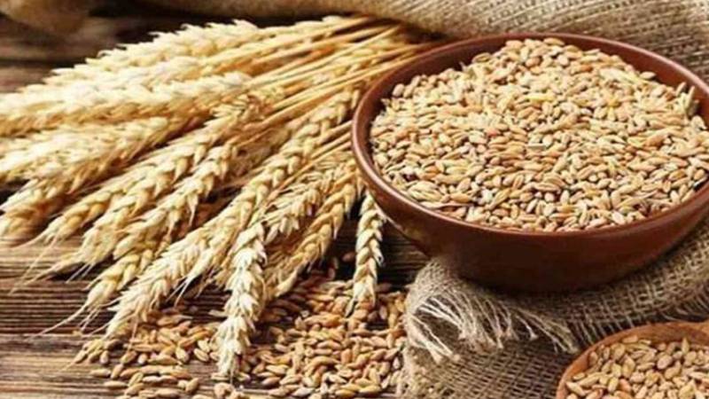 پنجاب میں سرکاری گندم 2900 روپے فی من کے نرخ پر جاری کرنے کی تجویز