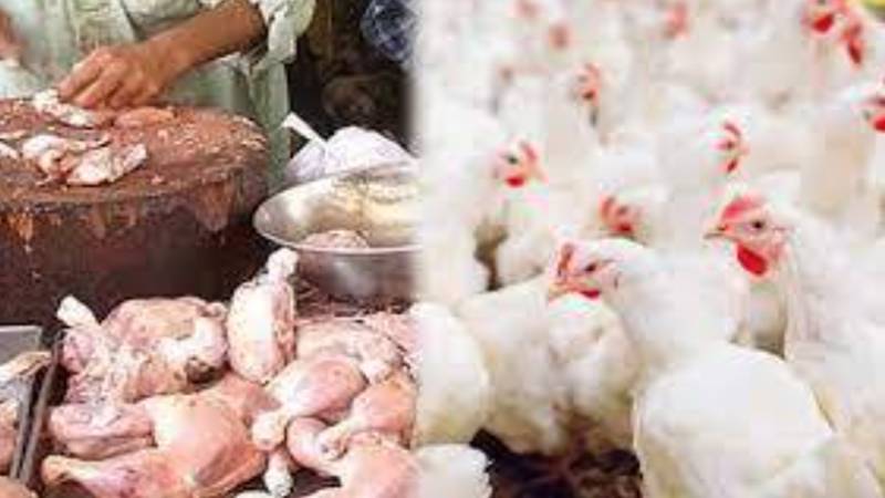 لاہور: زندہ برائلر اور برائلر گوشت کی قیمتیں کنٹرول سے باہر، شہری مہنگائی کا شکار