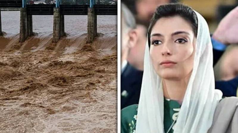 ہر پاکستانی کو اکٹھا ہونا ہوگا تاکہ زیادہ زندگیاں بچائی جاسکیں:آصفہ بھٹو زرداری