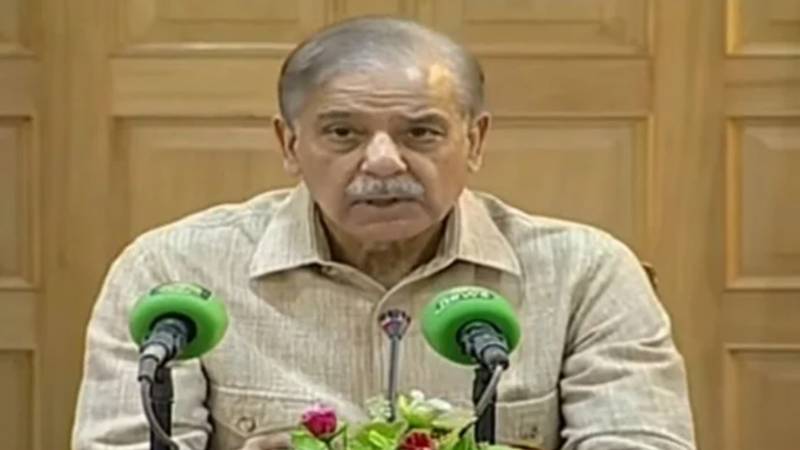 ریسکیو اور ڈیزاسٹر ریسپانس ادارے مزید متحرک ہوں:وزیراعظم شہباز شریف