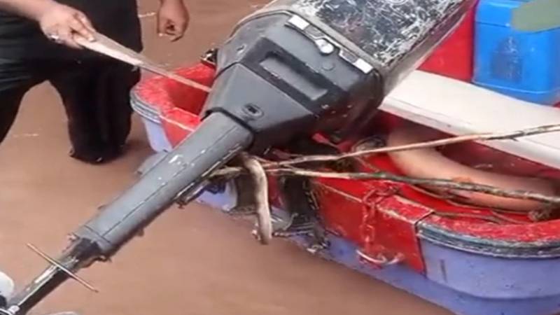 شاہدرہ پل کے قریب دریائے راوی میں سانپ کی آمد، ریسکیو اہلکاروں نے قابو پالیا