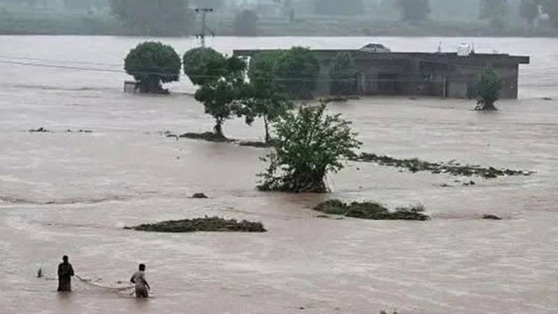 سیلابی ریلا دریائے چناب سے جھنگ اور دیگر اضلاع میں داخل، فصلیں اور دیہات متاثر