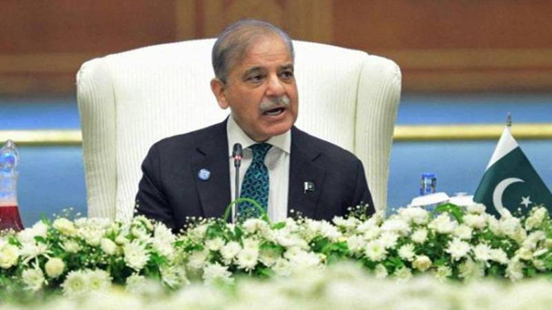 پاکستان تمام پڑوسی ممالک کے ساتھ پرامن اور مستحکم تعلقات کا خواہاں ہے:شہباز شریف