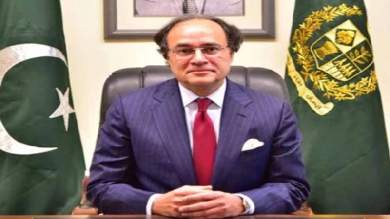 پاکستان کی معیشت مستحکم بنانے کیلئے چین کے سرمایہ کاروں کے ساتھ شراکت داری اہم: وفاقی وزیر خزانہ محمد اورنگزیب