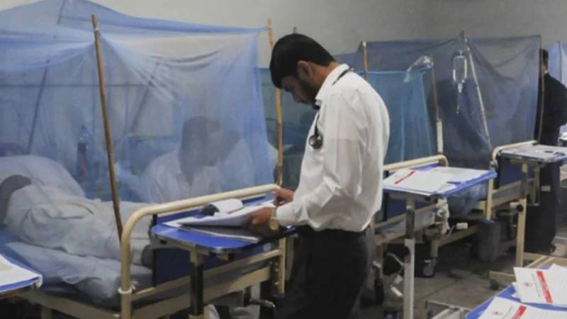راولپنڈی میں 24 گھنٹوں میں ڈینگی کے 11 نئے کیسز رپورٹ