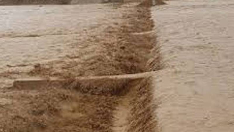 نارووال: دریائے راوی کے سیلاب نے دیہاتی علاقوں کی زندگی اجاڑ دی