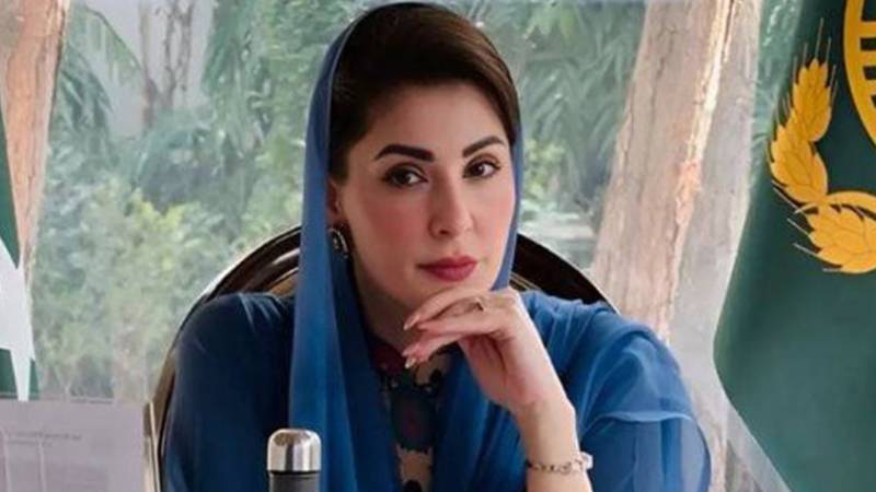 وزیراعلیٰ مریم نواز کا بڑا فیصلہ: پنجاب میں درختوں کی نیلامی اور جنگلات کی کٹائی پر فوری پابندی