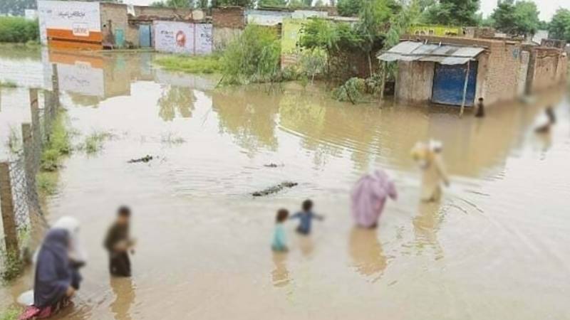 سیلاب کی تباہ کاریاں: زرعی زمینیں متاثر، سبزیوں کی قلت اور مہنگائی کا اندیشہ