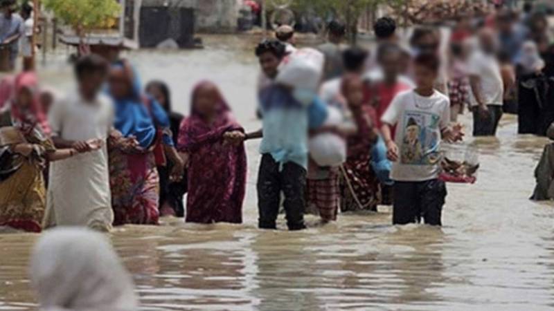 پنجاب اور سندھ میں سیلابی ریلوں کی تباہ کاریاں، 35 لاکھ متاثر، 46 جاں بحق، لاکھوں ایکڑ فصلیں برباد