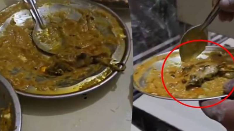 ہوٹل کے سالن میں مردہ چوہا برآمد، خوفناک ویڈیو سوشل میڈیا پر وائرل