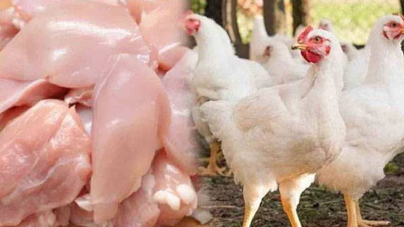 ضلعی انتظامیہ ناکام، برائلر گوشت شہر میں 685 روپے فی کلو فروخت ہو رہا ہے
