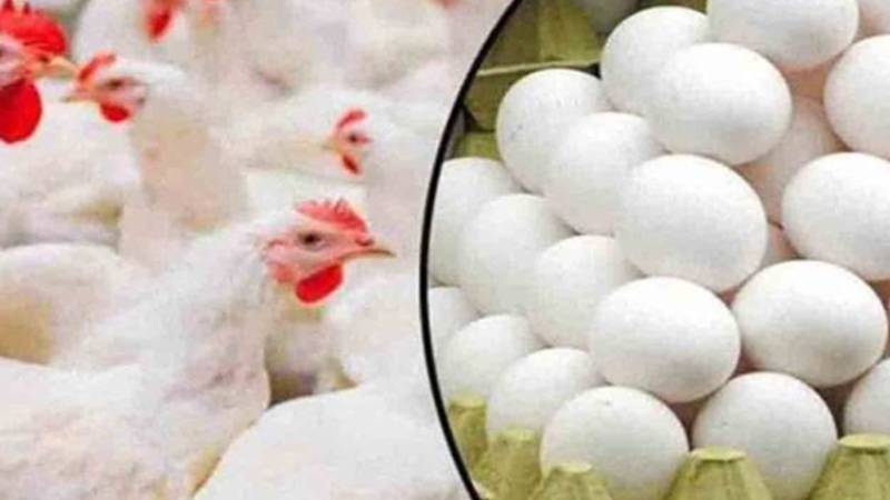 برائلر گوشت اور انڈوں کی بڑھتی قیمتیں شہریوں کیلئے وبال بن گئیں