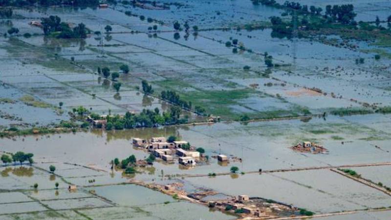 سیلاب کے بعد مہنگائی کے بڑے طوفان کی پیشگوئی، ماہرین نے خبردار کردیا