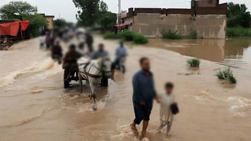 پنجاب میں سیلاب متاثرین کو صحت کی سہولیات پہنچانے میں شدید تاخیر، محکمہ صحت کی تیاری ناکافی