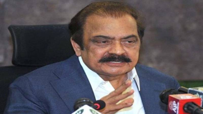 پی ٹی آئی نے الیکشن بائیکاٹ کر کے سیاسی اور جمہوری عمل سے راہ فرار اختیار کی: رانا ثنا اللہ 