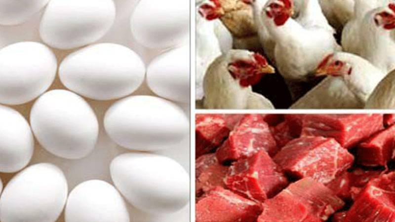  مرغی کے گوشت کی قیمتوں میں ہوشربا اضافہ