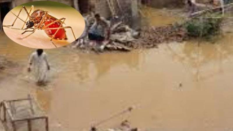 محکمہ موسمیات نے سیلابی صورتحال کے پیشِ نظر ڈینگی الرٹ جاری کر دیا