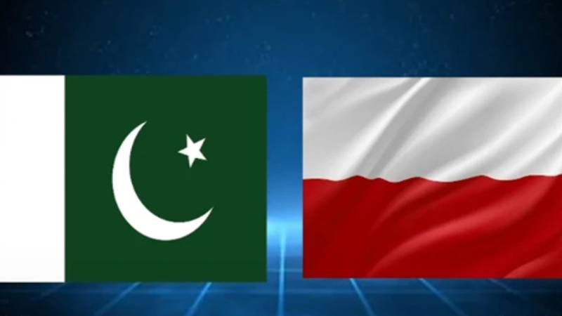 پولینڈ کا پاکستان میں سرمایہ کاری کا عزم