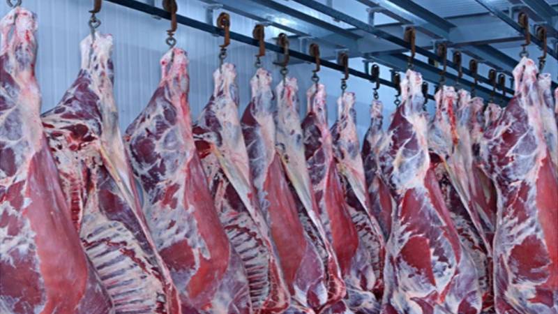 چین میں حلال گوشت کی بڑھتی طلب، پاکستان کو 75 لاکھ ڈالر کا بیف ایکسپورٹ آرڈر