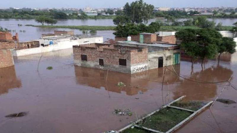 سیلاب متاثرہ طلبہ کے لیے فیس ریلیف پر غور، وزیر تعلیم نے وزیر اعلیٰ پنجاب کو تجویز پیش کر دی