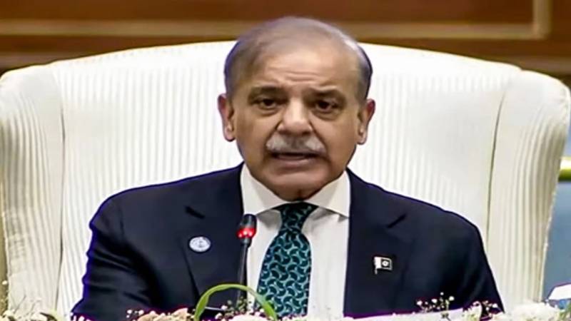 زراعت، آئی ٹی اور معدنیات سمیت دیگر شعبوں میں بیرونی سرمایہ کاری کے مواقع موجود:وزیراعظم