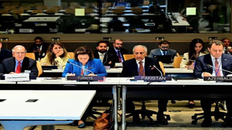او آئی سی رابطہ گروپ کا اجلاس، مقبوضہ کشمیر میں انسانی حقوق کی خلاف ورزیوں پر تشویش