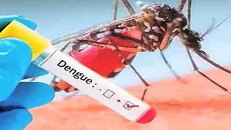 اسلام آباد میں ڈینگی کیسز میں اضافہ، مجموعی تعداد 720 تک پہنچ گئی