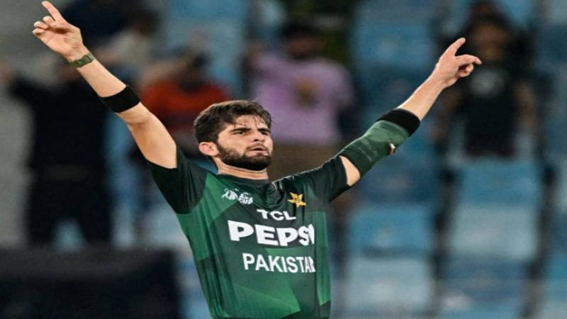 شاہین شاہ آفریدی بن گئے ٹی ٹوئنٹی کے دوسرے کامیاب ترین پاکستانی بولر